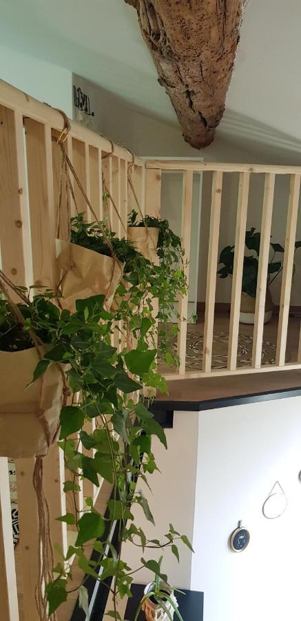 Studio Mediterraneenne Montpellier Luaran gambar